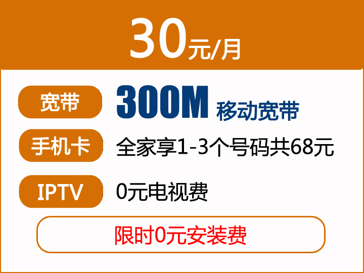 移动宽带30元包月300M+移动号码